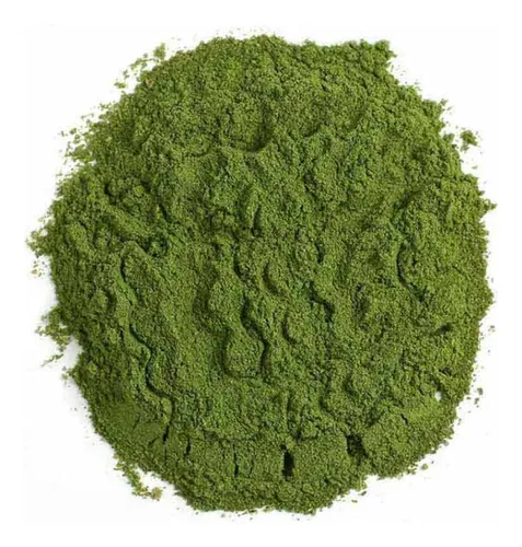 [1484] Espinaca en polvo x 5kg.